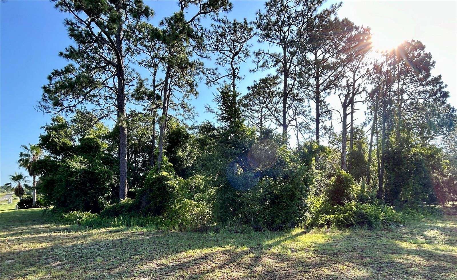0.98 Acres of Residential Land for Sale in Inverness, Florida