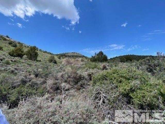 12.5 Acres of Land for Sale in Virginia City, Nevada