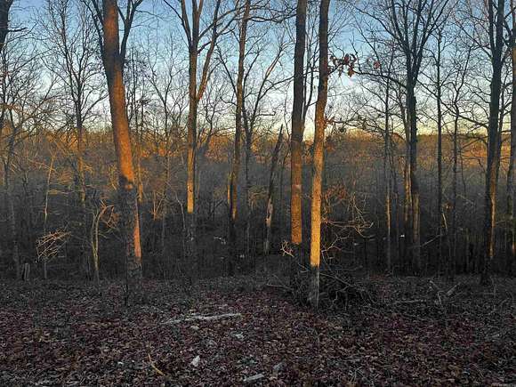 6.58 Acres of Residential Land for Sale in Malvern, Arkansas