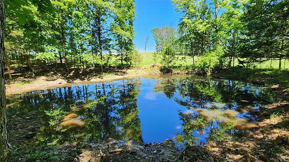 28 Acres of Land for Sale in St. James, Missouri