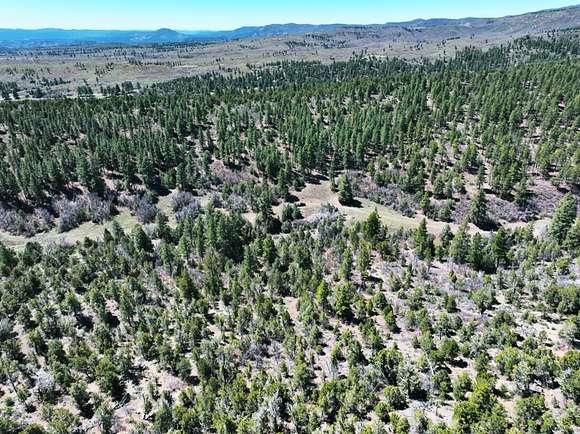315 Acres of Recreational Land & Farm for Sale in Durango, Colorado
