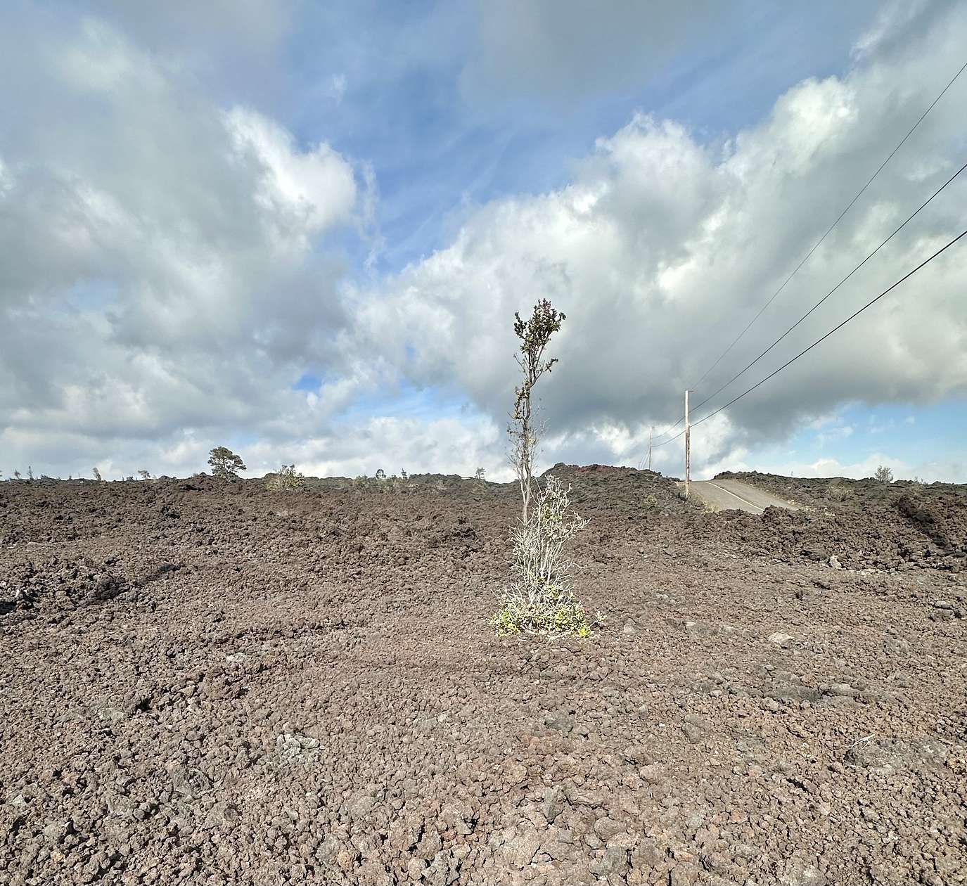 1 Acre of Land for Sale in Hawaiian Ocean View, Hawaii