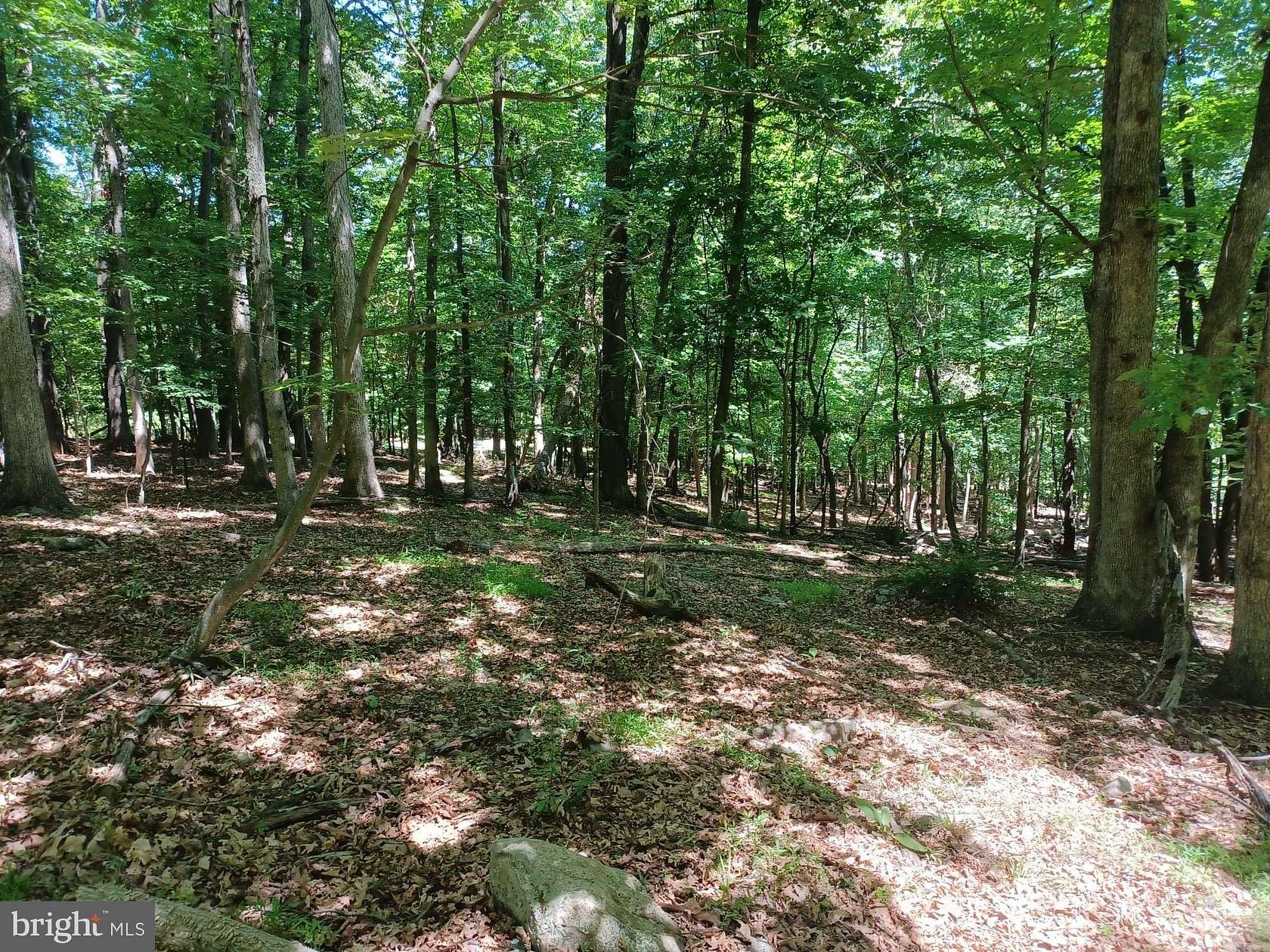2.17 Acres of Residential Land for Sale in Paw Paw, West Virginia