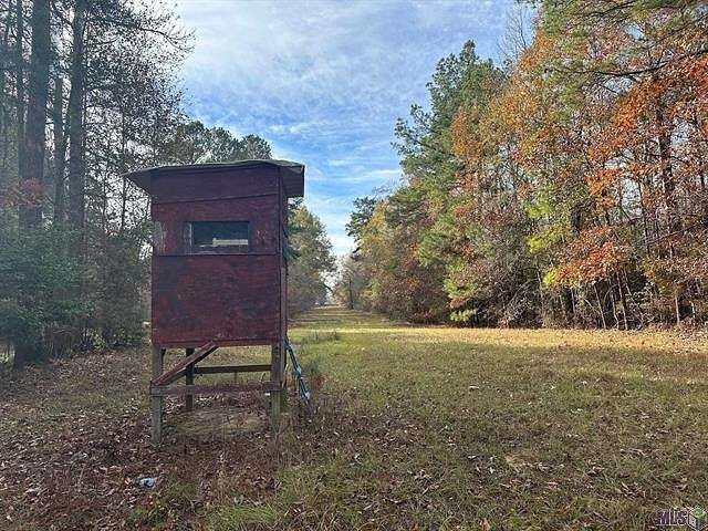 80 Acres of Recreational Land & Farm for Sale in Clarks, Louisiana