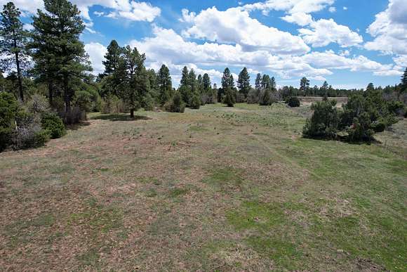 20 Acres of Land with Home for Sale in Mancos, Colorado
