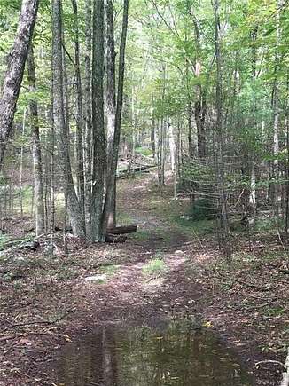 60 Acres of Recreational Land for Sale in Deerpark Town, New York