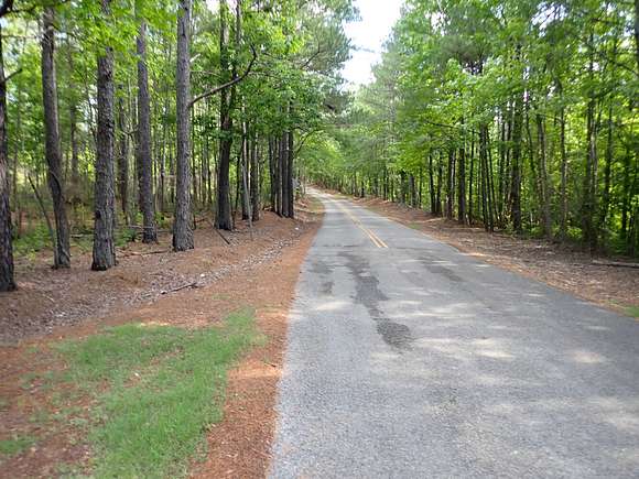 90 Acres of Recreational Land for Sale in Brookwood, Alabama
