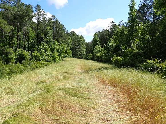 107 Acres of Recreational Land for Sale in Brookwood, Alabama