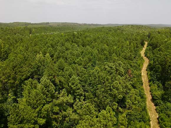 107 Acres of Recreational Land for Sale in Brookwood, Alabama