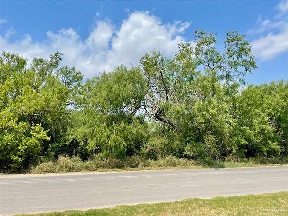 0.55 Acres of Residential Land for Sale in Progreso Lakes, Texas