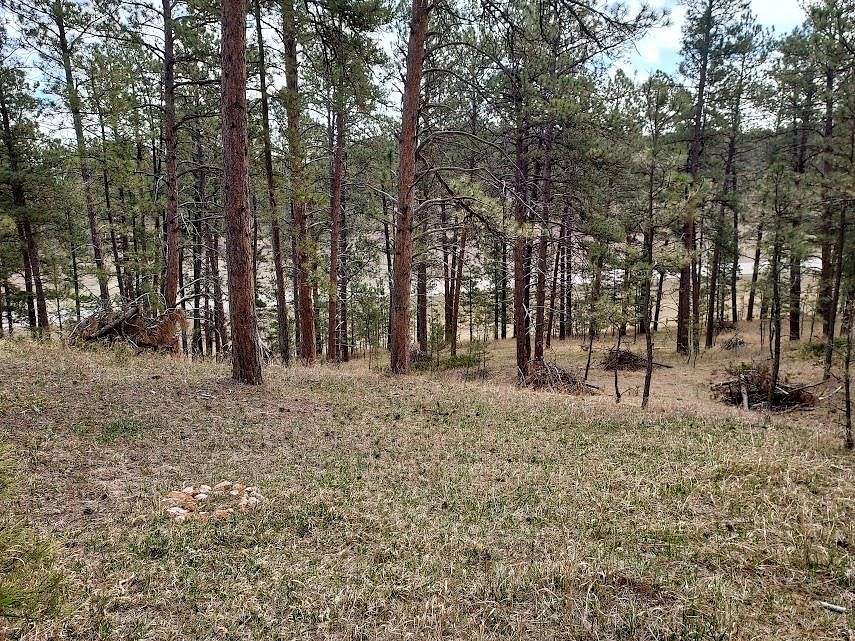 4 Acres of Residential Land for Sale in Custer, South Dakota