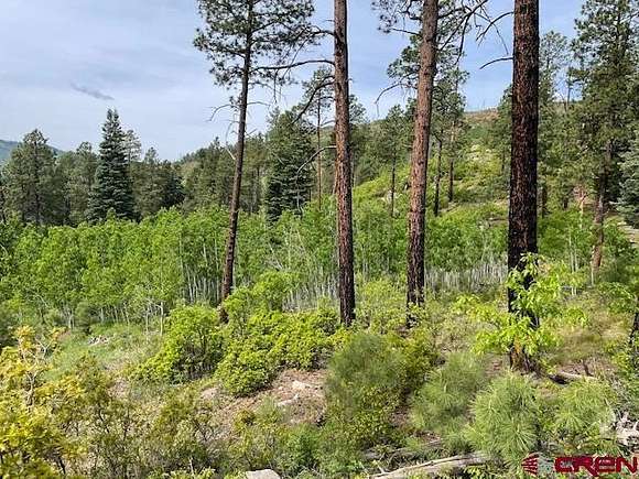 2.1 Acres of Residential Land for Sale in Bayfield, Colorado