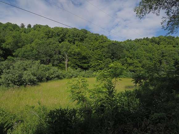 11 Acres of Land for Sale in Galax, Virginia