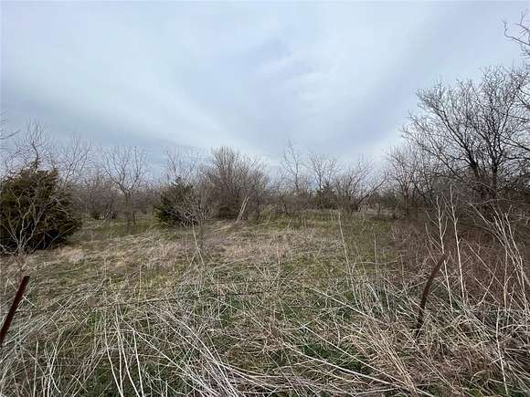 40 Acres of Land for Sale in Waxahachie, Texas