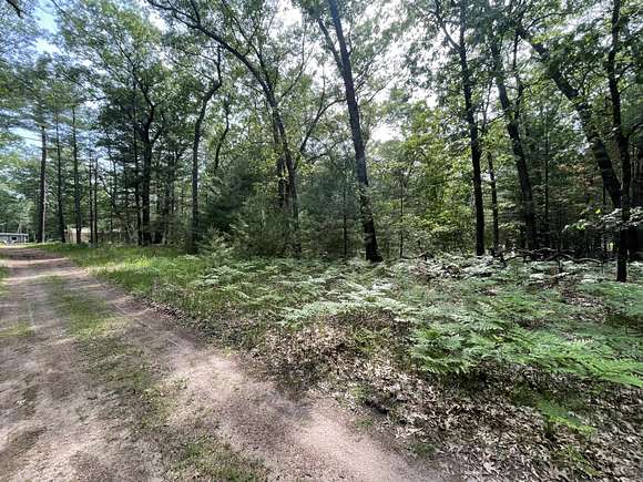 0.22 Acres of Land for Sale in Baldwin, Michigan