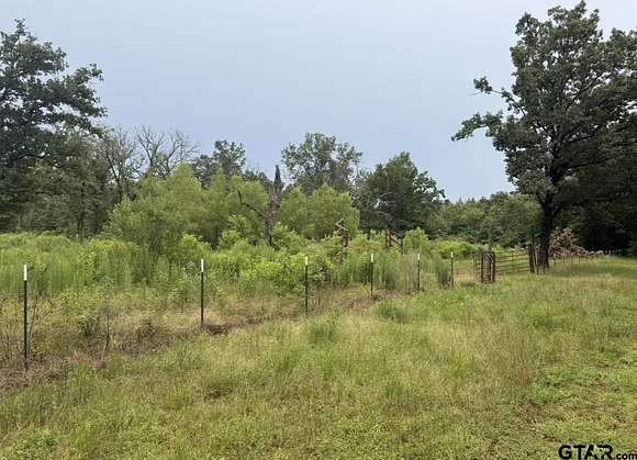 20.8 Acres of Recreational Land for Sale in Cookville, Texas