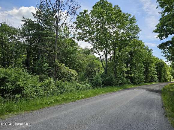 8.8 Acres of Land for Sale in Middleburgh, New York