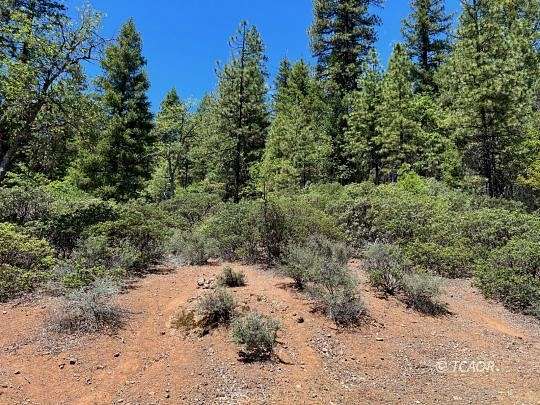 1.86 Acres of Land for Sale in Hayfork, California