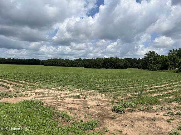 28 Acres of Land for Sale in Lucedale, Mississippi