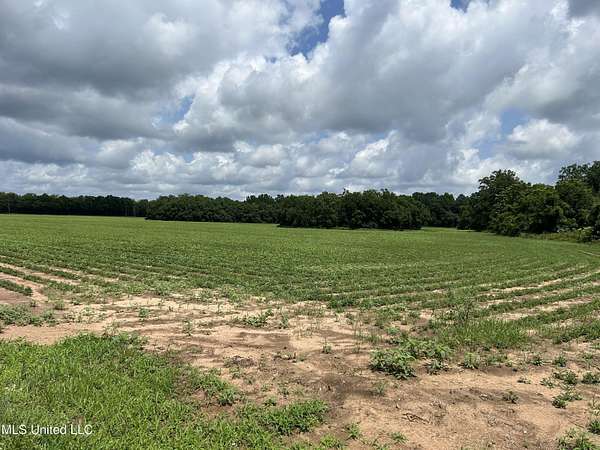 28 Acres of Recreational Land for Sale in Lucedale, Mississippi