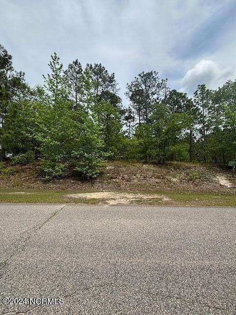 1 Acre of Residential Land for Sale in Rockingham, North Carolina