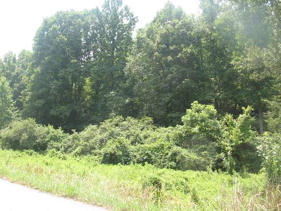 18 Acres of Agricultural Land for Sale in Tyner, Kentucky