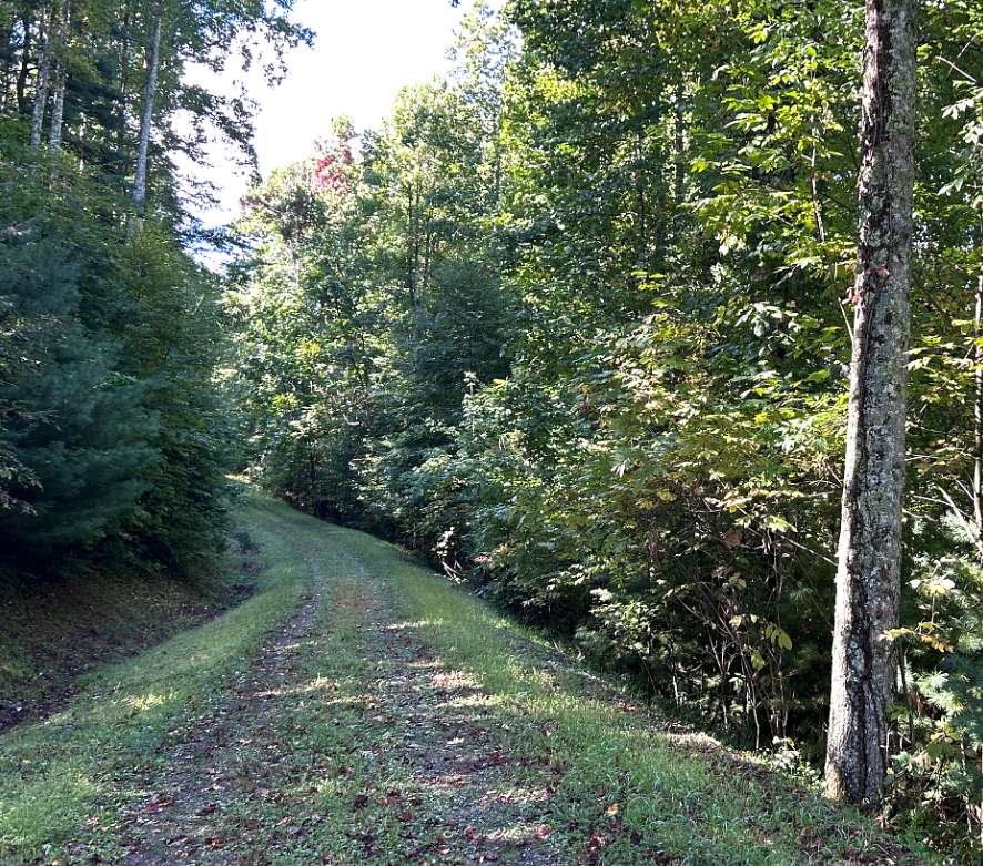 6.01 Acres of Land for Sale in Mars Hill, North Carolina