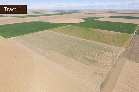 479.44 Acres of Agricultural Land for Auction in Leoti, Kansas