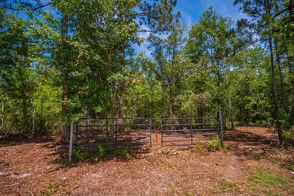 1.13 Acres of Residential Land for Sale in Hastings, Florida