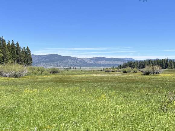 238 Acres of Land for Sale in Calpine, California