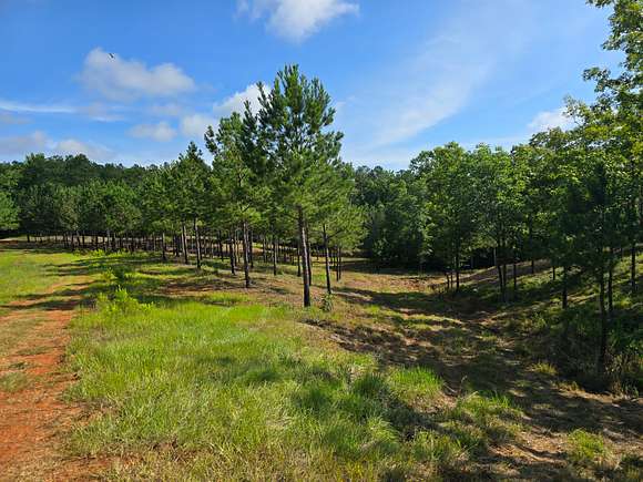 197 Acres of Recreational Land for Sale in Fortson, Georgia