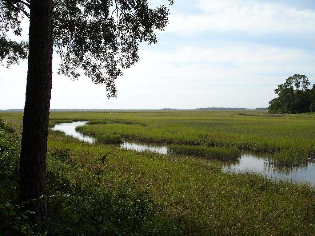 1.5 Acres of Residential Land for Sale in Fernandina Beach, Florida