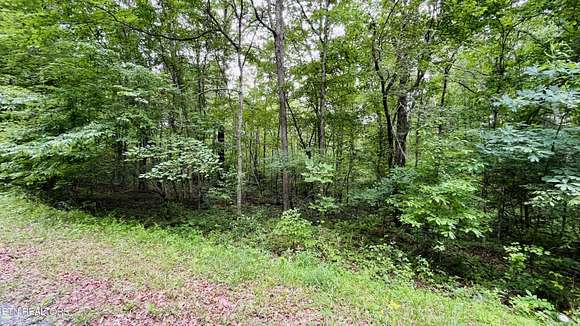 0.25 Acres of Residential Land for Sale in Crossville, Tennessee