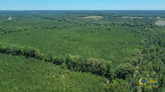 47 Acres of Recreational Land for Sale in Butler, Georgia