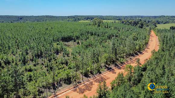 87 Acres of Recreational Land for Sale in Butler, Georgia