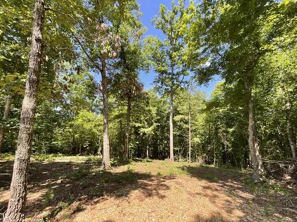 Residential Land for Sale in Cumberland City, Tennessee