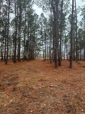 5.1 Acres of Commercial Land for Sale in Longs, South Carolina