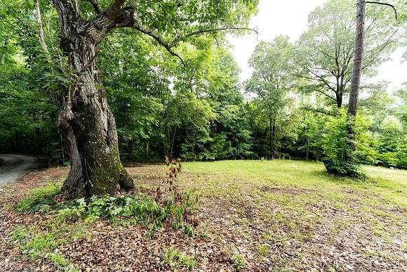 20.36 Acres of Recreational Land for Sale in Abbeville, South Carolina
