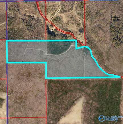 75 Acres of Recreational Land & Farm for Sale in Collinsville, Alabama