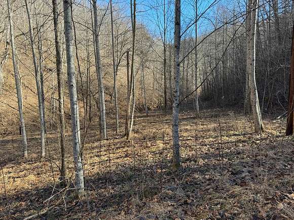 162 Acres of Land for Sale in Wayland, Kentucky