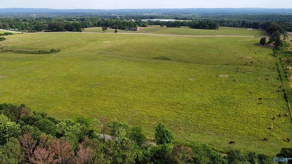 27.51 Acres of Land for Auction in Horton, Alabama