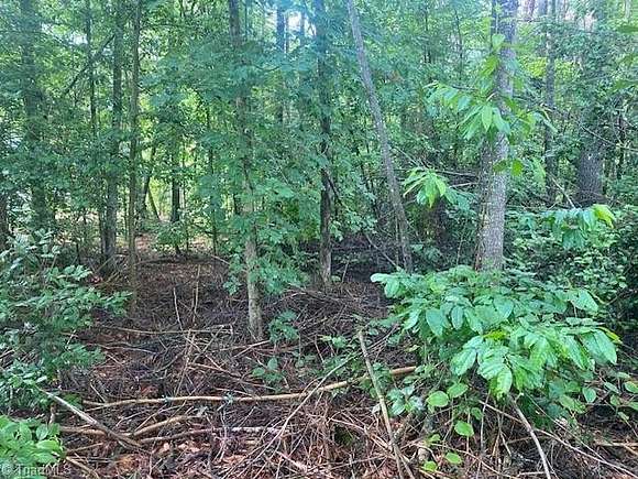 1.2 Acres of Residential Land for Sale in Purlear, North Carolina