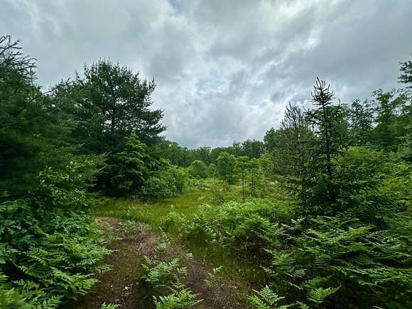 2.5 Acres of Residential Land for Sale in Fruitport, Michigan