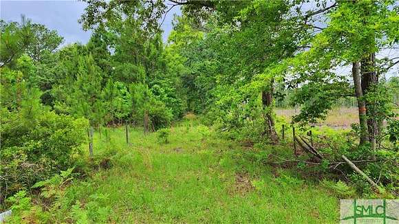 2.5 Acres of Land for Sale in Clyo, Georgia
