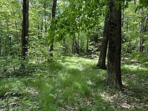 10.8 Acres of Recreational Land for Sale in Orwell, Vermont