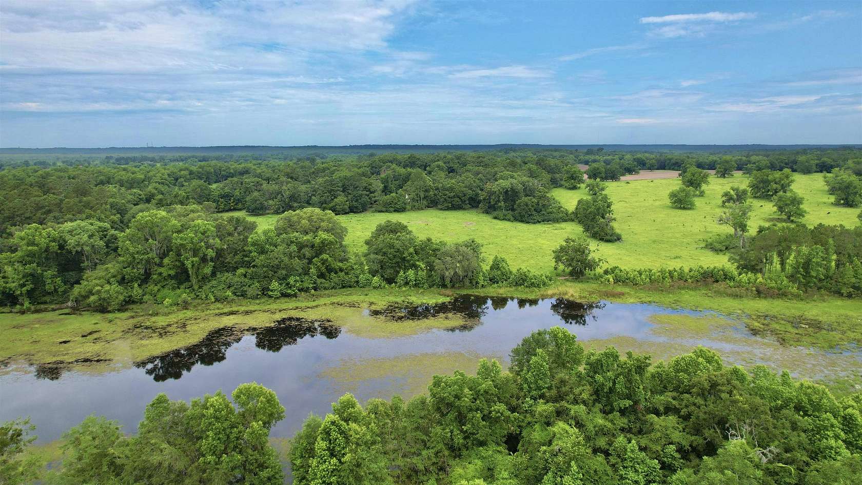 450 Acres of Agricultural Land for Sale in Monticello, Florida