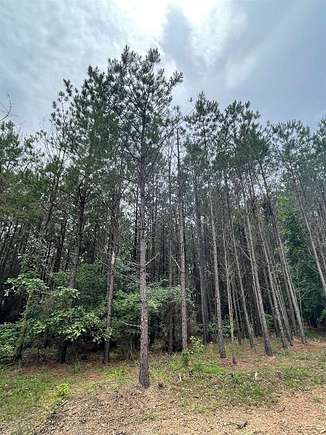 1 Acre of Residential Land for Sale in Broken Bow, Oklahoma