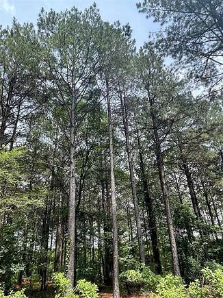 1.403 Acres of Residential Land for Sale in Broken Bow, Oklahoma