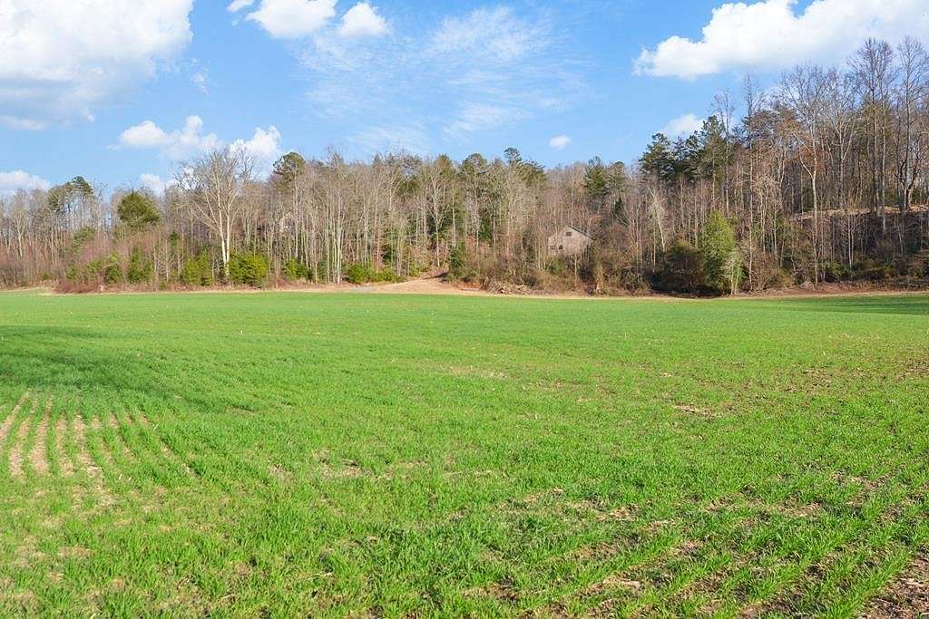 8.03 Acres of Land for Sale in Ellijay, Georgia