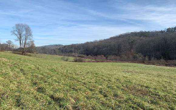 106 Acres of Agricultural Land for Sale in Blue Ridge, Georgia